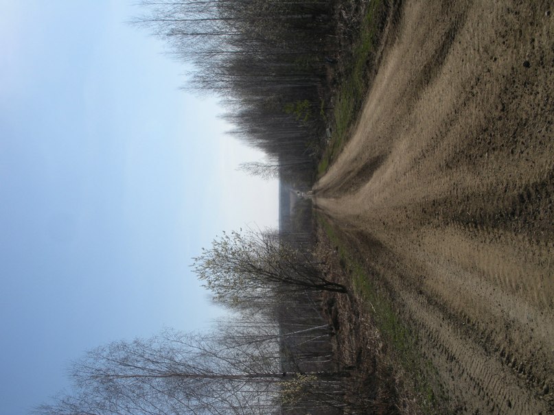 Диман Буканов | Арзамас