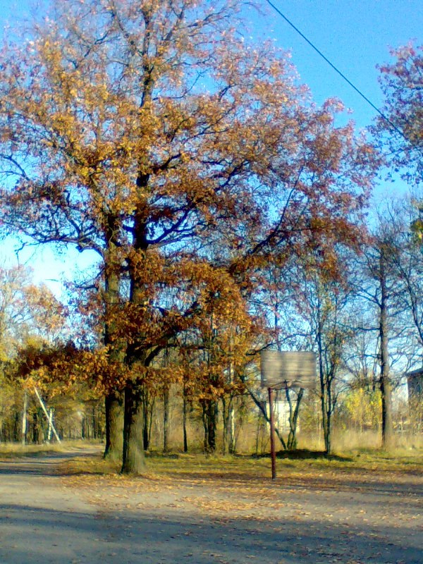 Наталья Козлова | Середина-Буда