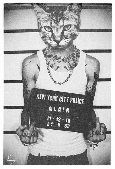 Magic Bullet |̲̅̅●̲̅̅|̲̅̅=̲̅̅|̲̅̅●̲̅| | Санкт-Петербург