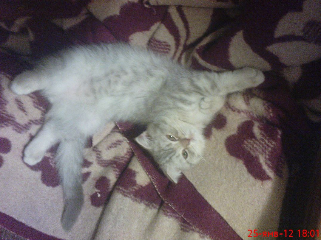 Людмила Гуцан | Одесса