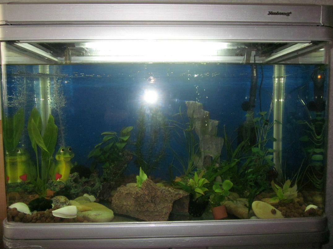 Евгения Адамсон ^Hi-chan^ | Москва