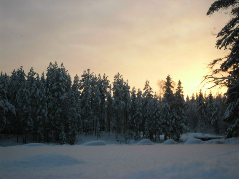 Наташа Андреева | Суоярви