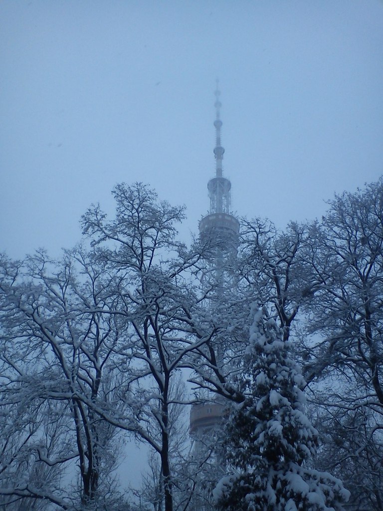Варвара Савчук | Санкт-Петербург