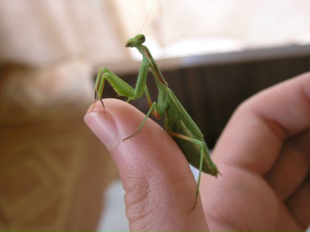 №102, Михаил Семин №102, Михаил Семин