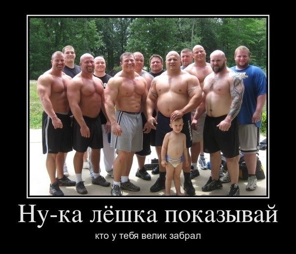 Алексей Жижин | Нерехта