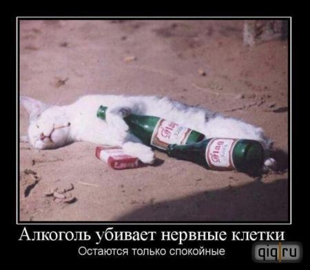 Катя Лукьянова киса** | Нурлат