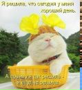 №30 Даша Астафьева-Гуща 20.05.2007: профиль, фото, статус - ВКонтакте