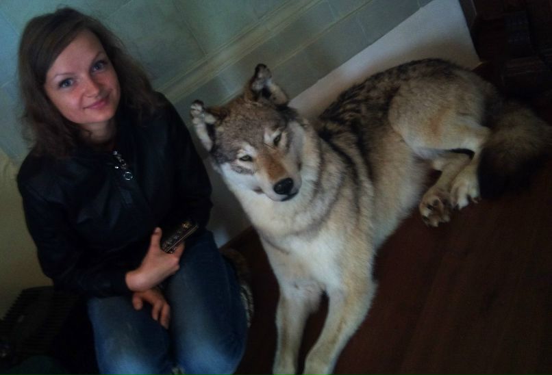 Анастасия Ефимова | Великий Устюг