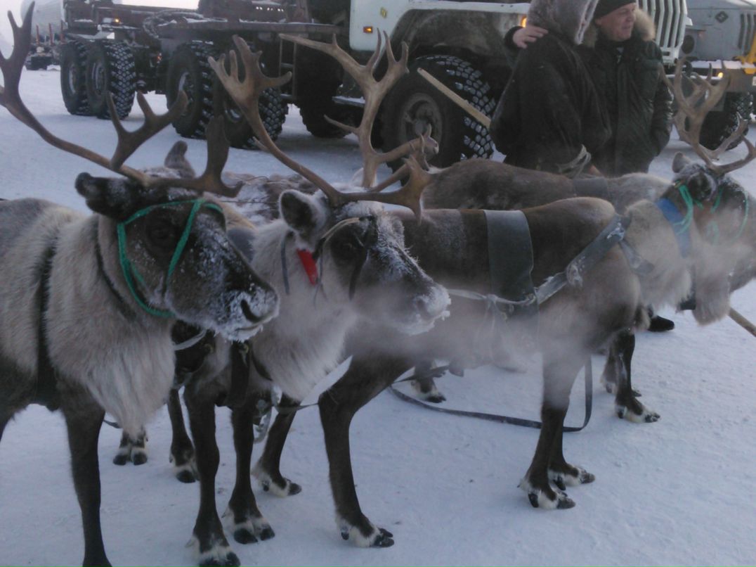 Дениска Наговицын ~I ♥ trance~ | Киров