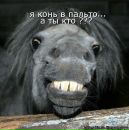 Фотография Вадичка Мальцев