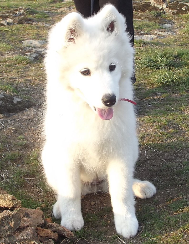 Людмила Жорина | Южноукраинск