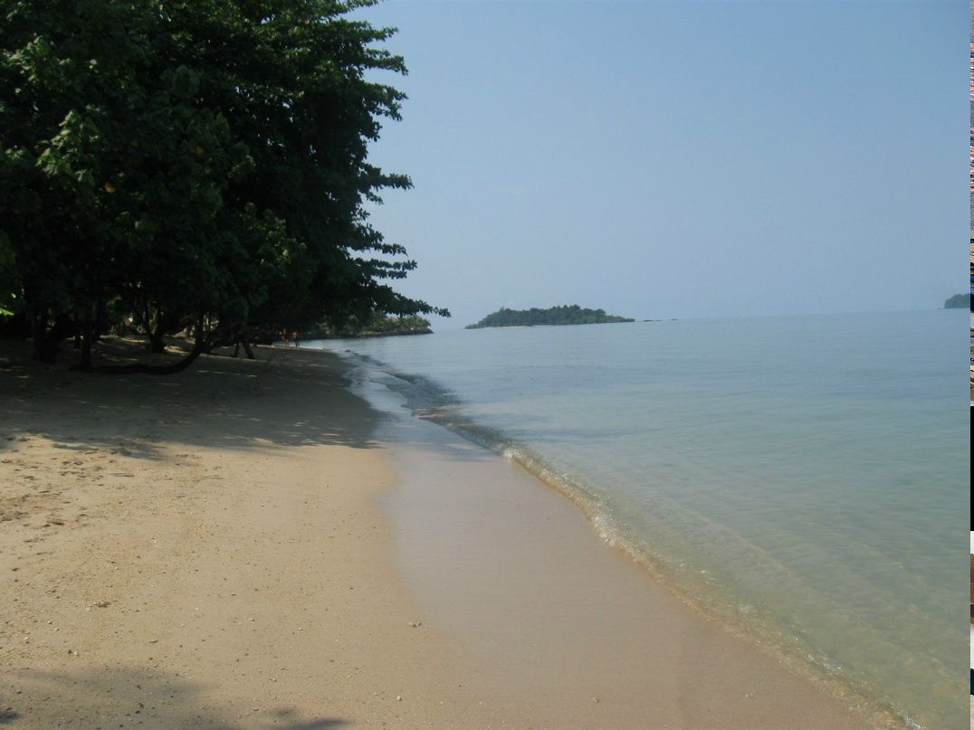 Екатерина Гвоздовская | Благовещенск