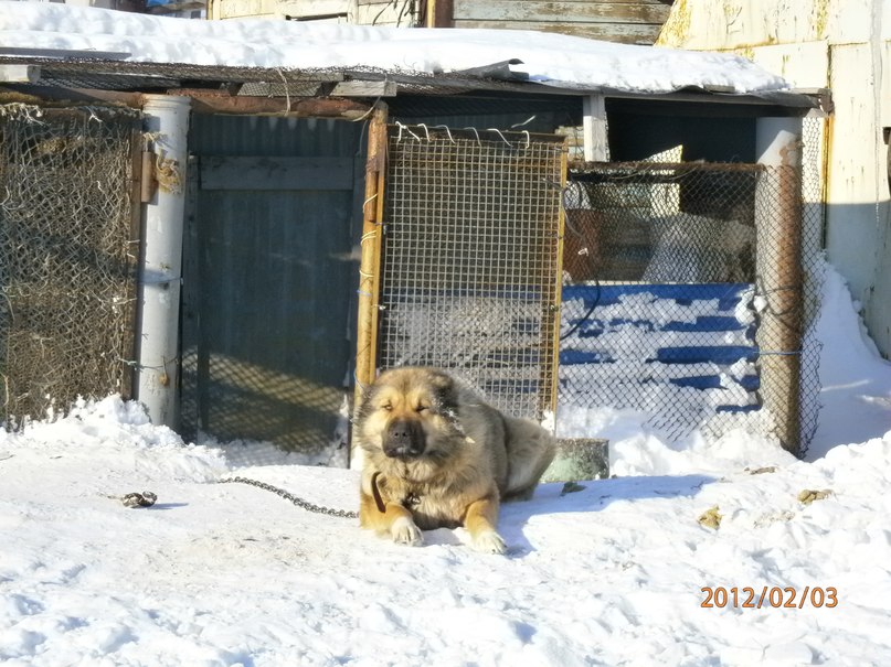 Елена Бадмаева | Петропавловка