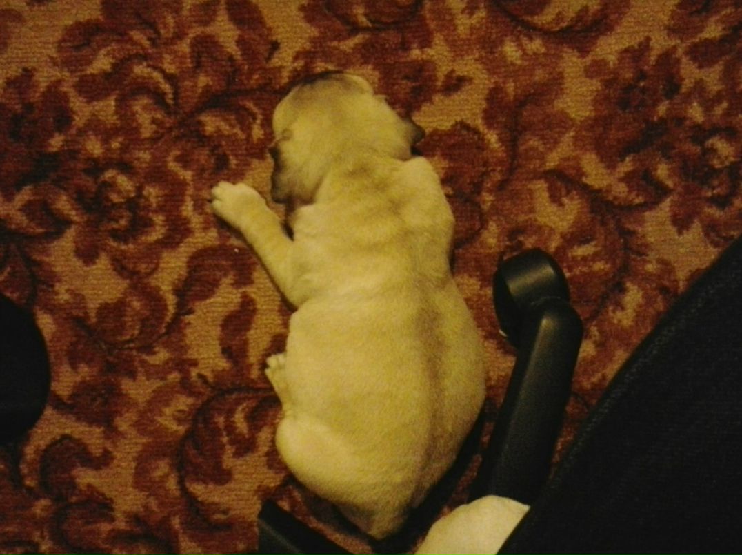 Марина Платонова | Санкт-Петербург