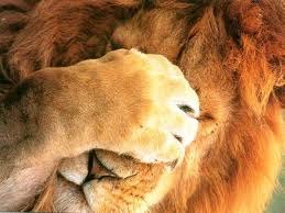 Сергей Сергеев | Москва