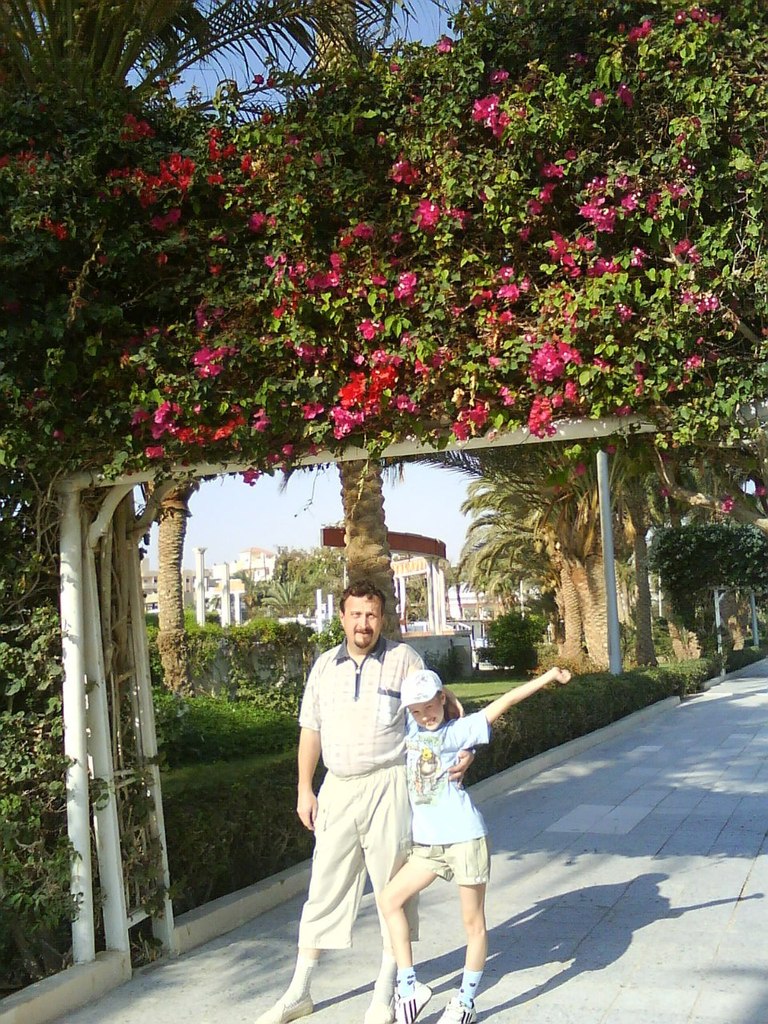 Александр Молодцов | 