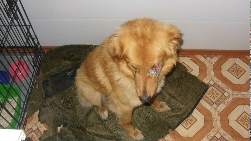 Татьяна Лазуткина | Chicago