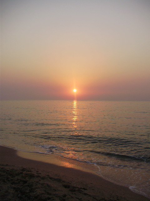 Дмитрий Кисель | 