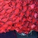 №145, Иришка Плыс, 35 лет, Ракитное №145, Иришка Плыс, 35 лет, Ракитное