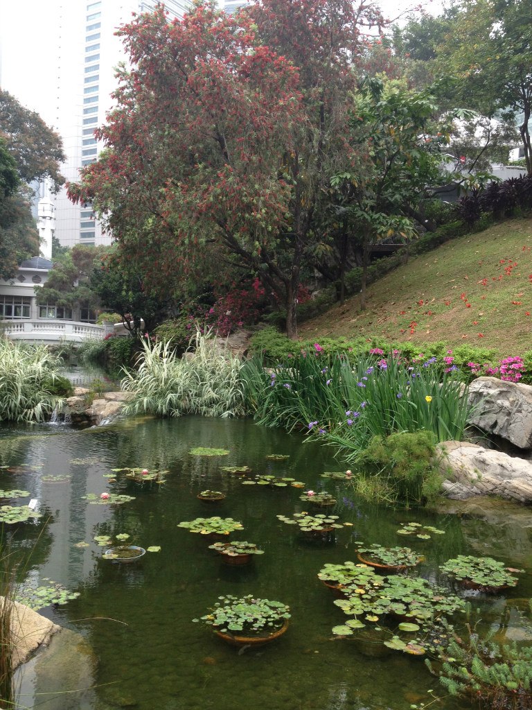 Надя Чешкова | Milano