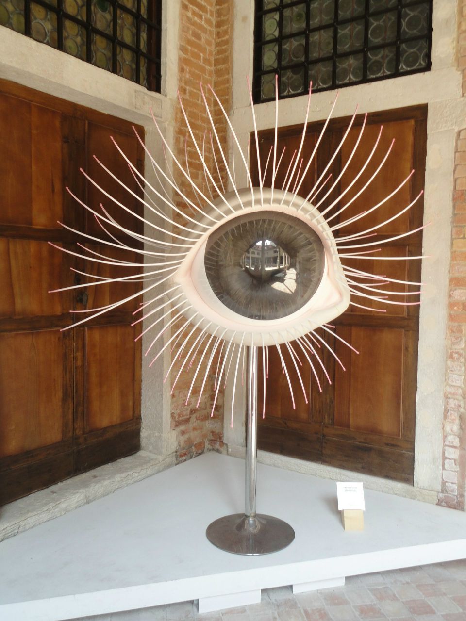 Лена Соханевич | Москва