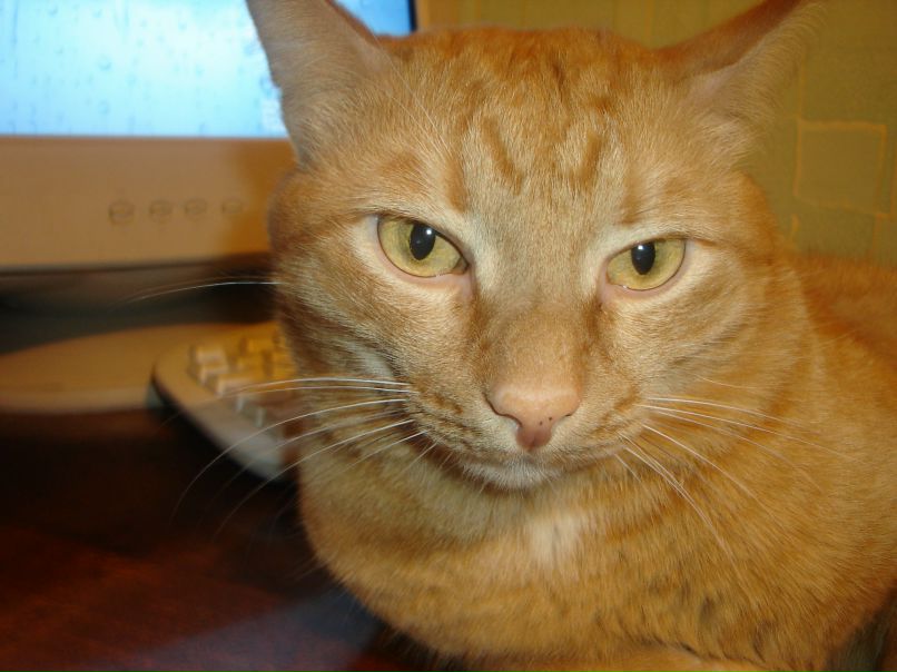 Артем Петров | Уфа