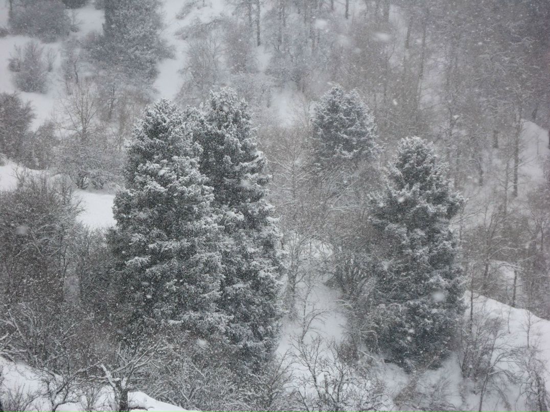 Darya Lee | Алматы