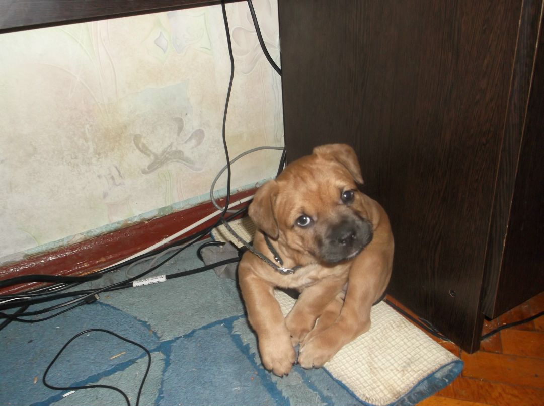 Эля Тихонова-Александрова | Санкт-Петербург