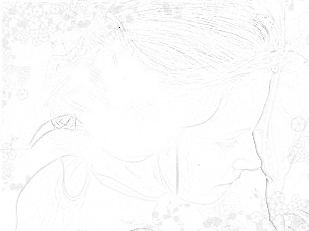 Анастасия Хаврич | Житомир