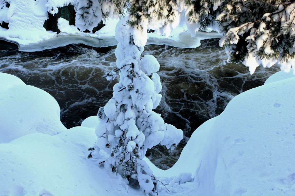 Наталия Фахретдинова | Надвоицы (пгт)