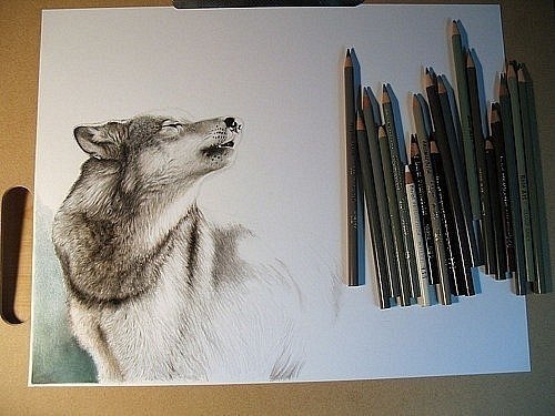 Аня Рыбакова | 