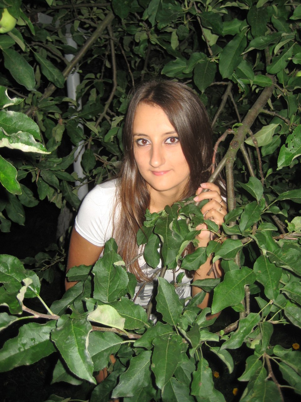 Танюша Кухарська-Томілович | Ракитное