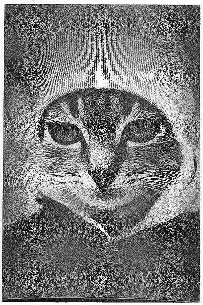 Виталий Балунов | Саратов