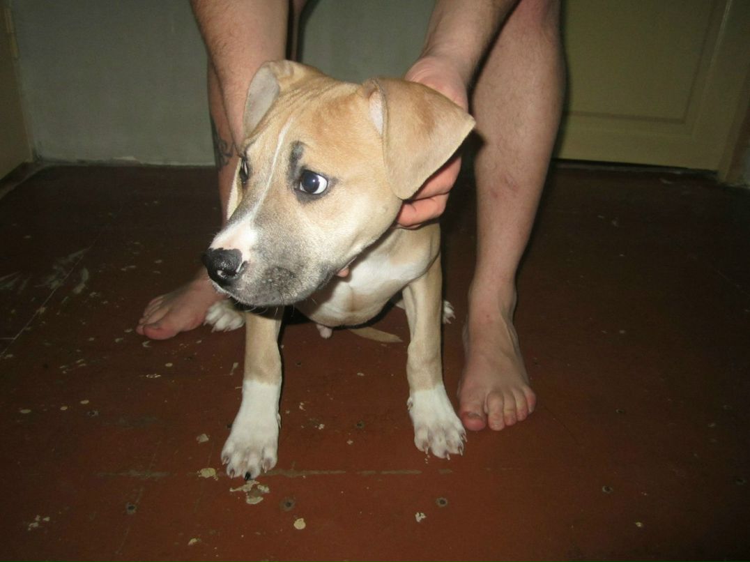 Ириска Бочкарева | Калининград