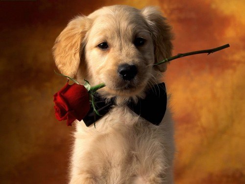 Даша Зарубина | Киев