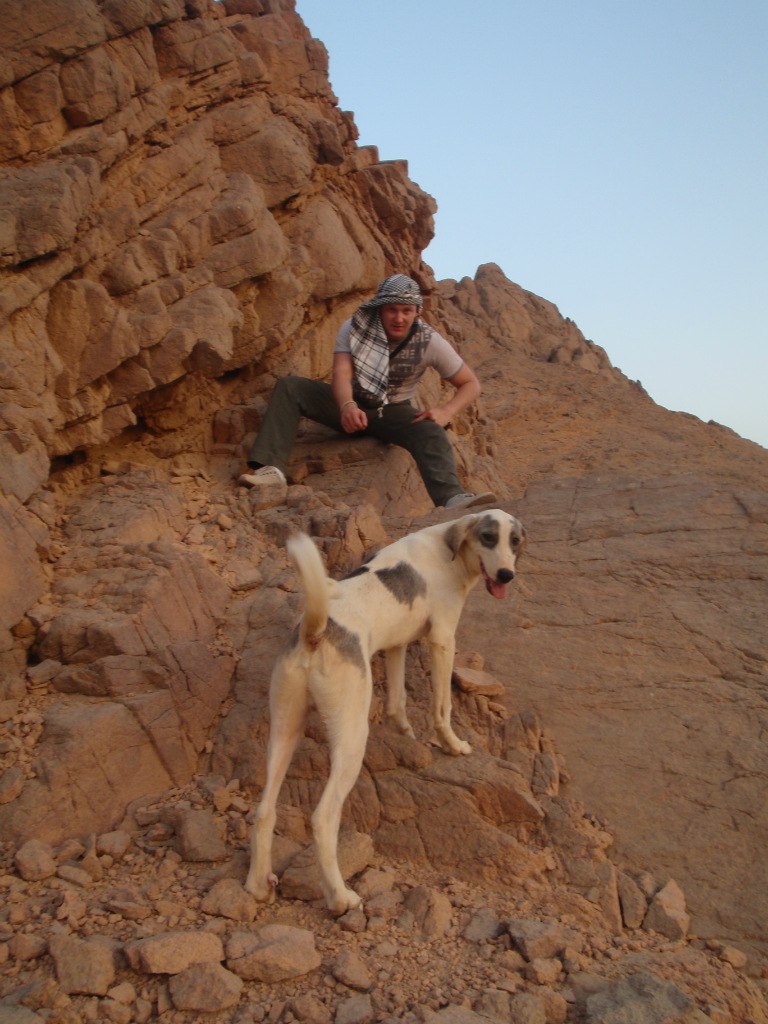 Аркадий Кашицин | Москва