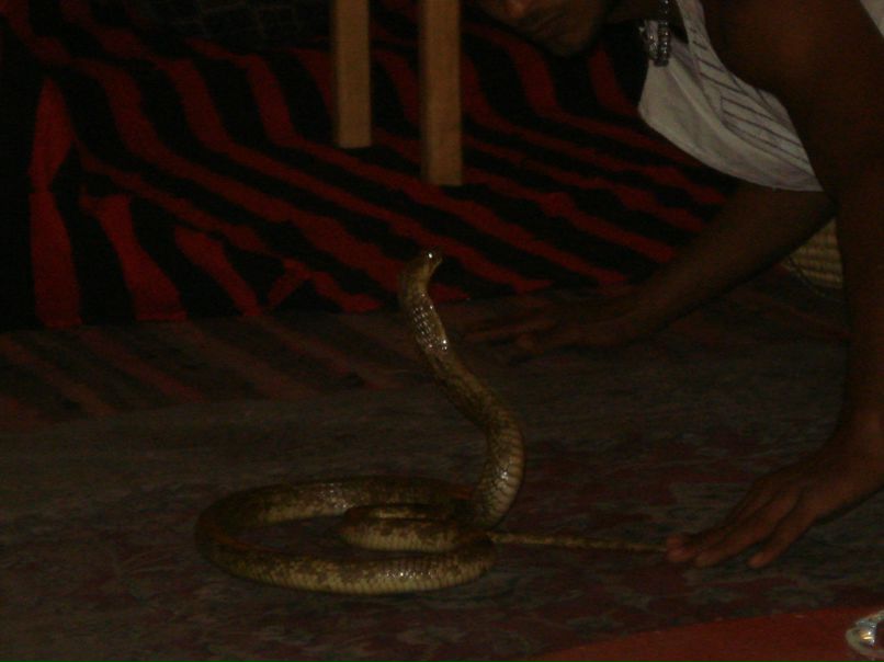 Елена Пряхина | Харьков