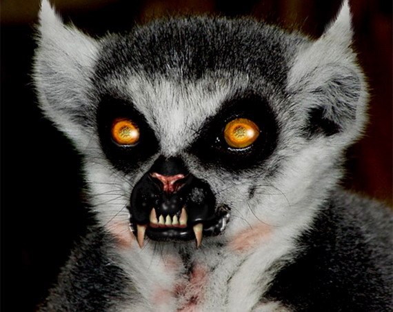 Олег Чумаченко | Харьков