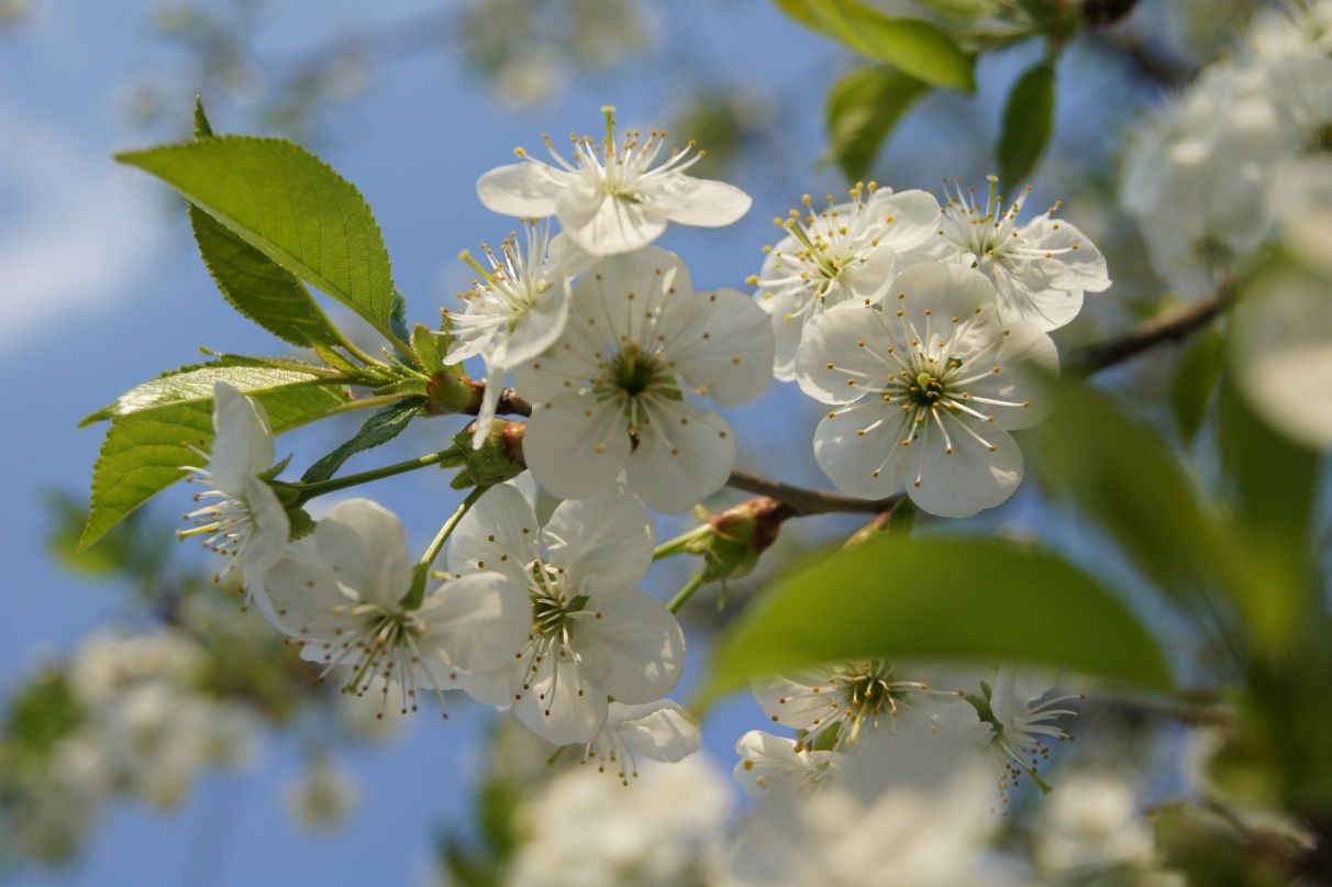 Олег Карпук | Луцк