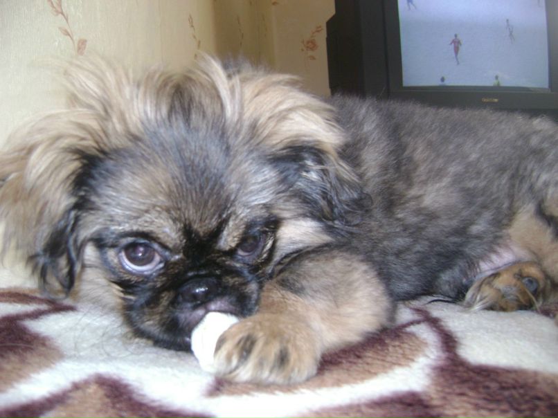 Аня Аркашова | Москва