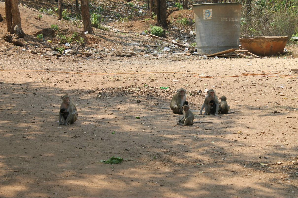 Мансур Закиров | Казань