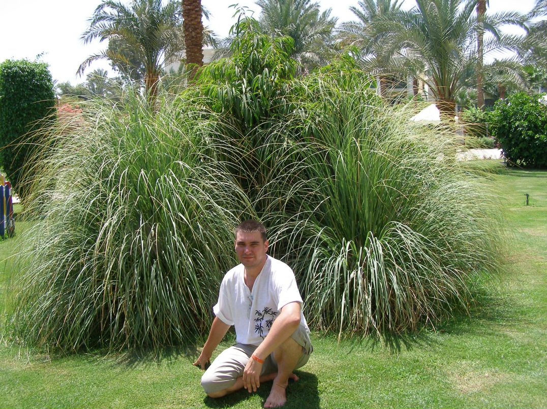 Дмитрий Сыраев | Кемерово