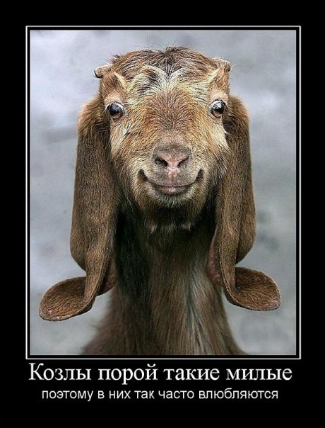 №189, Елена Ваняева, Нижний Новгород №189, Елена Ваняева, Нижний Новгород