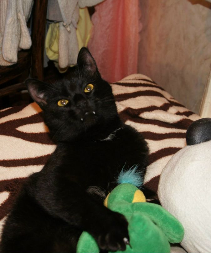 Екатерина Милеева | Белгород