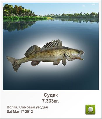 Роман Усатов | Вологда