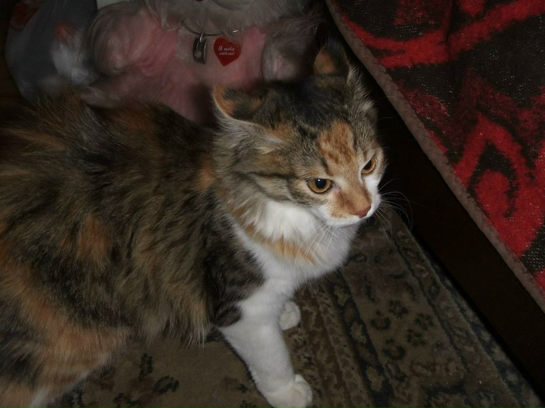 Анна Бучкова | Рязань