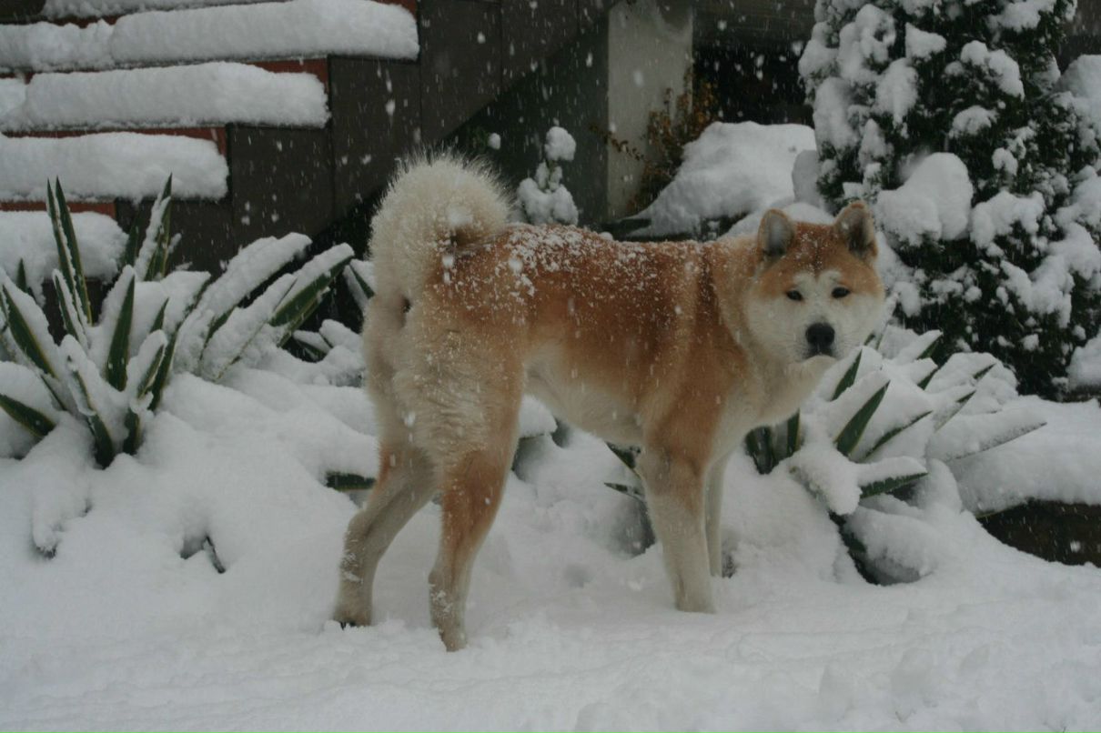 Максим Сабетьев Макс | Симферополь