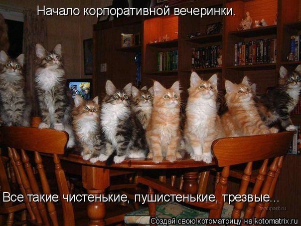 Анастасия Мельникова | Санкт-Петербург