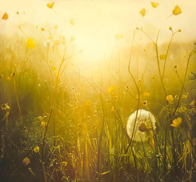 Марьяна Гусева | Санкт-Петербург