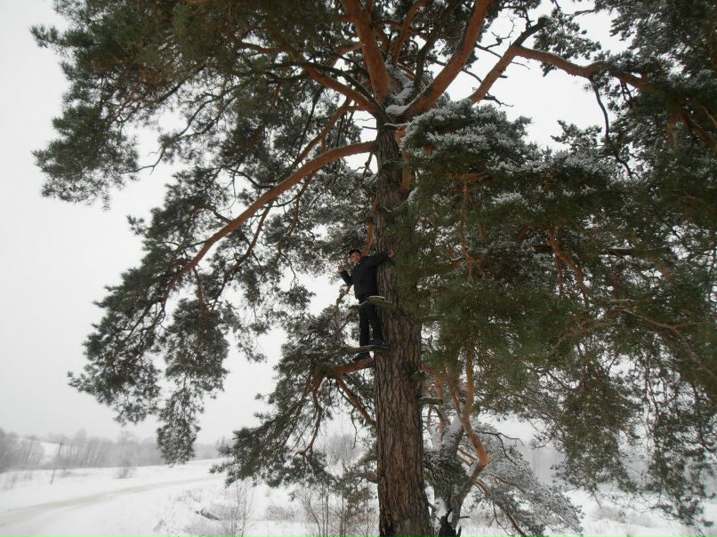 Александр Моссур | Бердянск